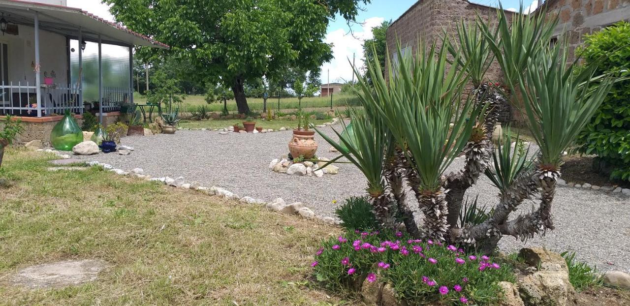 La Cascina Della Grotta Di Tufo Bed & Breakfast San Valentino  Ngoại thất bức ảnh